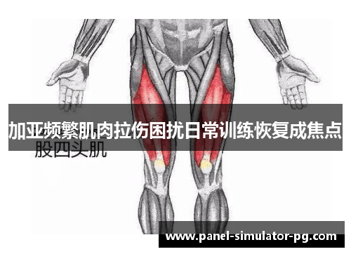 加亚频繁肌肉拉伤困扰日常训练恢复成焦点